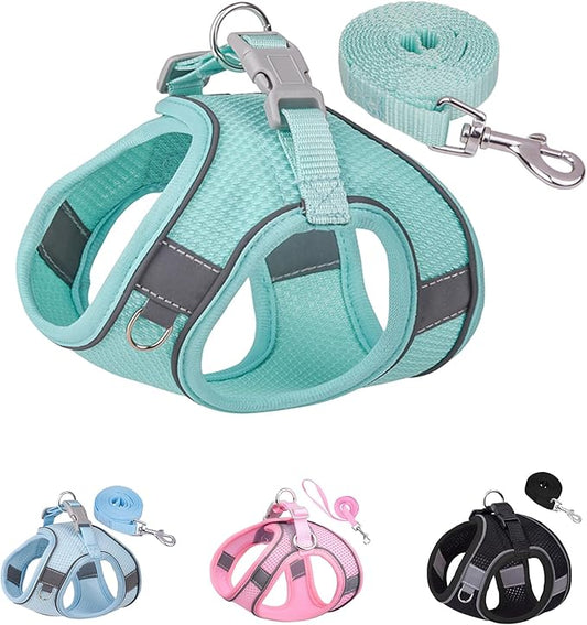 Solmoony Dog Harness for Small Medium Dogs No Pull, Puppy Harness and Leash Set, Puppy Harness for Small Dogs, Step in Harness for Small Dogs, Small Dog Harness, mesh Dog Harness. (Green, S)