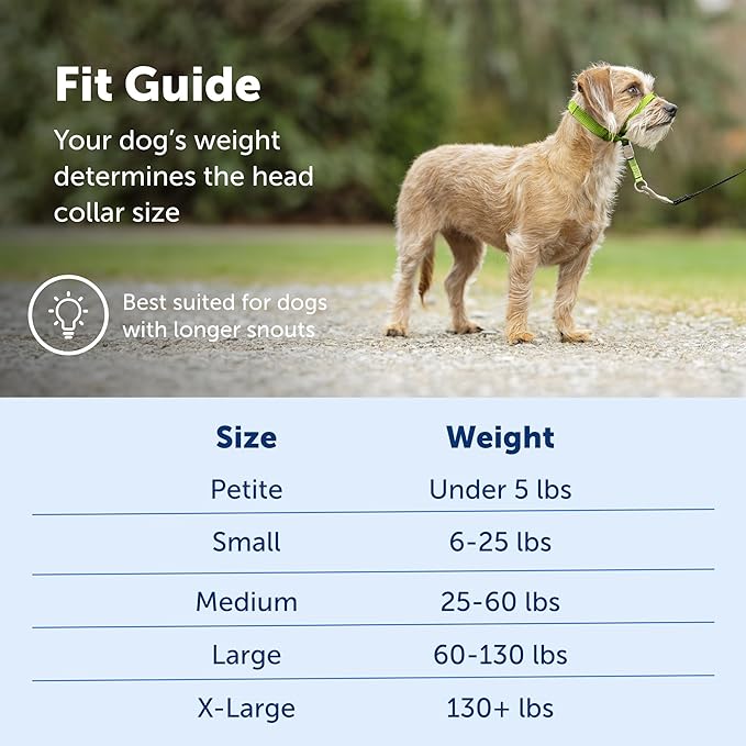 PetSafe Gentle Leader No-Pull Dog Headcollar