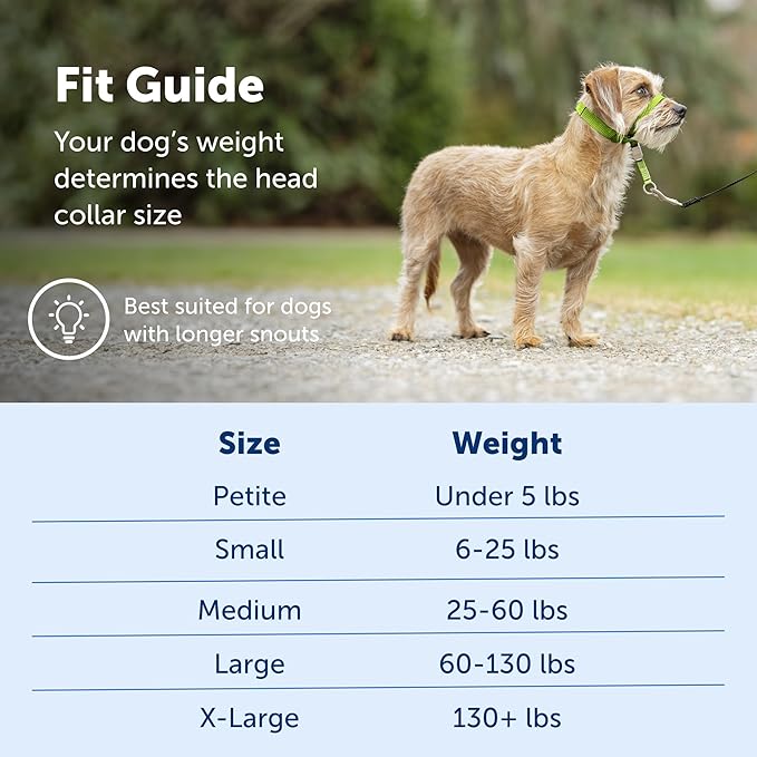 PetSafe Gentle Leader No-Pull Dog Headcollar
