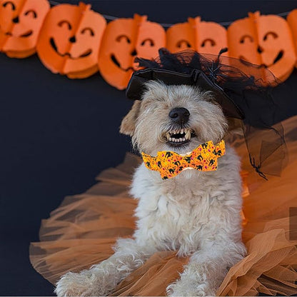 Elegant little tail Fall Dog Collar