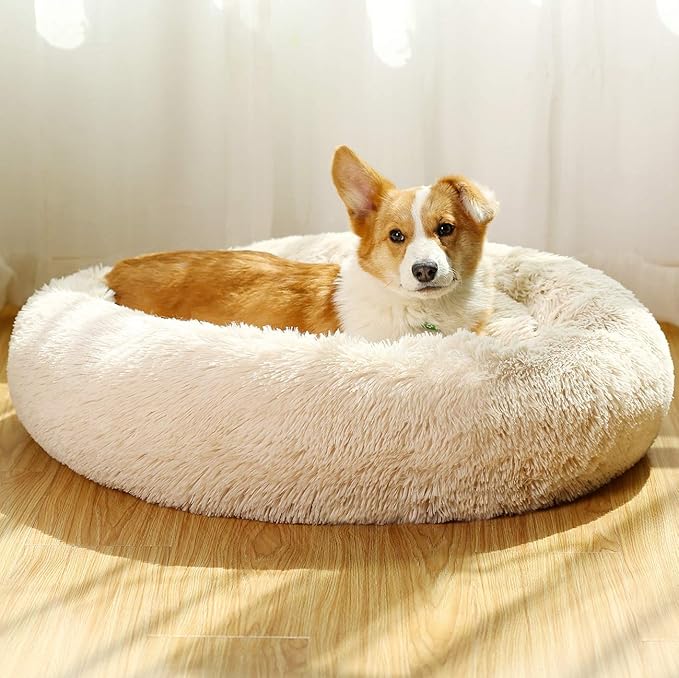 Donut Dog Beds for Medium Dogs