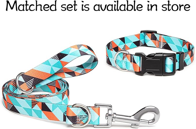 Adjustable Dog Collar with Patterns