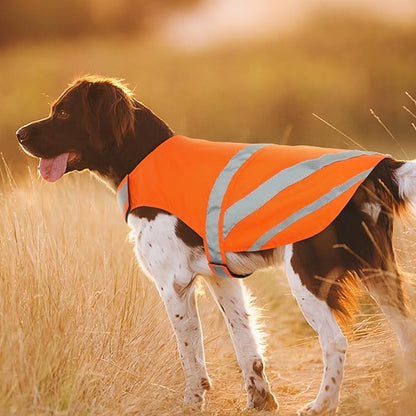 Kuoser Reflective Dog Vest, High Visibility Dog Safety Vest for Medium Large Dogs, Pet Reflective Jacket Orange Dog Vest to Keep Your Dog in Sight and Safe from Hunting, Training, Cars Accidents, M