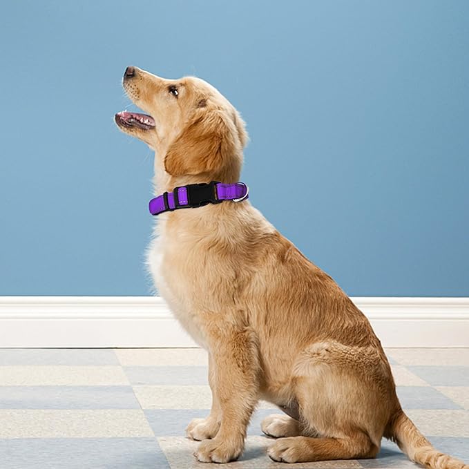 Reflective Dog Collar