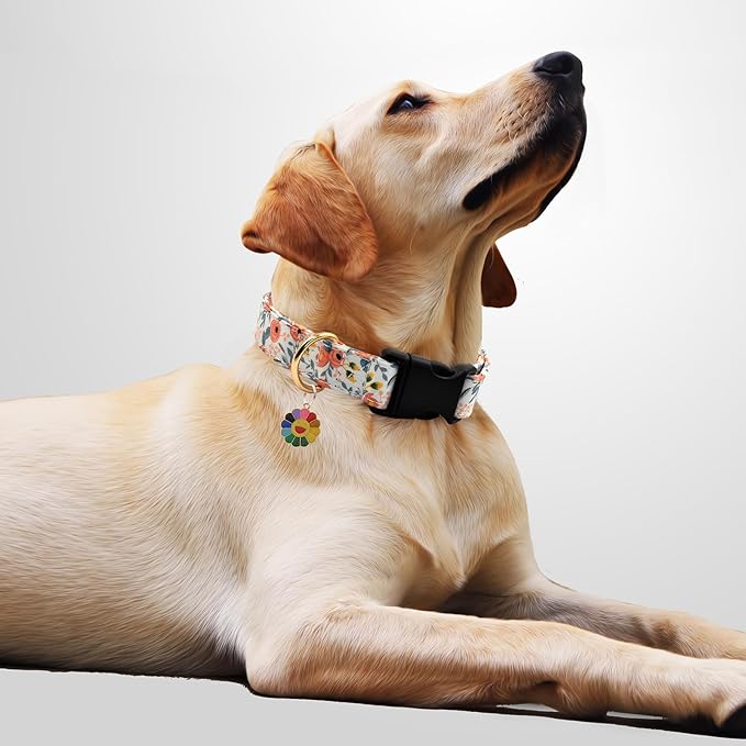 Flower Patterns Dog Collar with Accessories