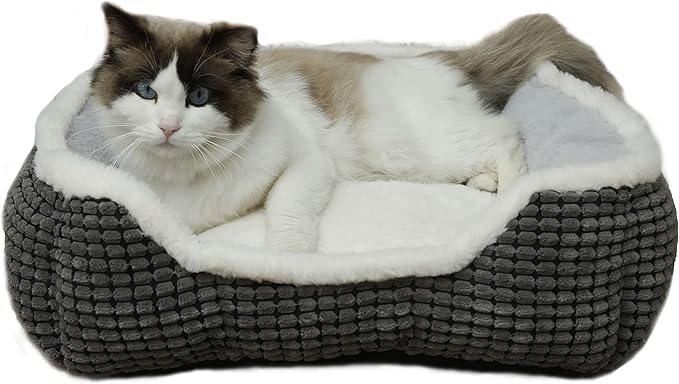 Dog Beds for Small Dogs