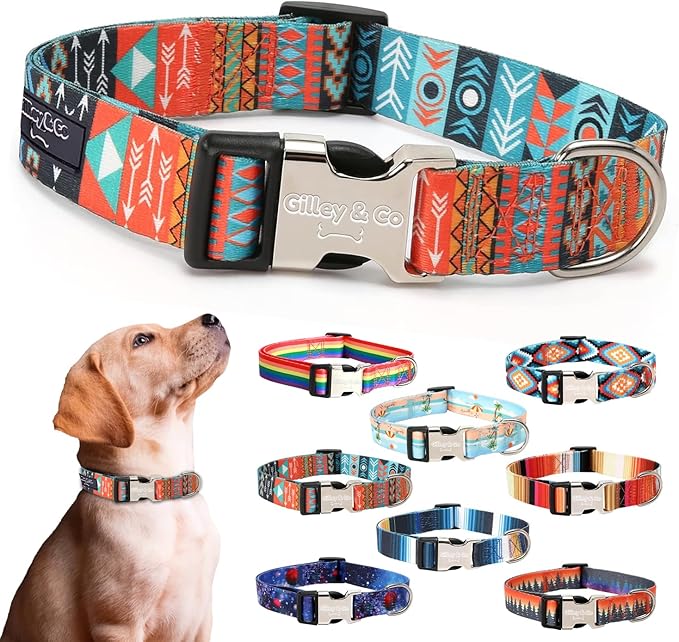 Gilley&Co Dog Collar and Leash Set 8 Designs, 4 Sizes