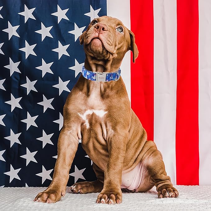 Unique style paws Dog Collar Metal Buckle Collar