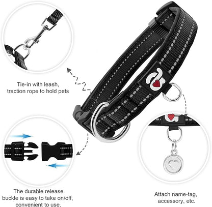 azuza Reflective Dog Collar