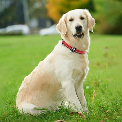 azuza Reflective Dog Collar