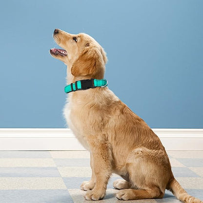 Reflective Dog Collar
