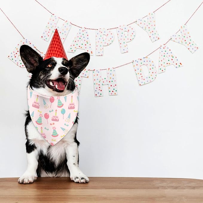 Birthday Dog Bandanas Reversible Large 2 Pack