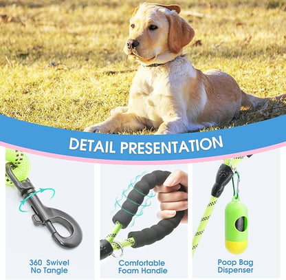 BAAPET 2/4/5/6 FT Dog Leash with Comfortable Padded Handle and Highly Reflective Threads for Small Medium and Large Dogs (6FT-1/2''