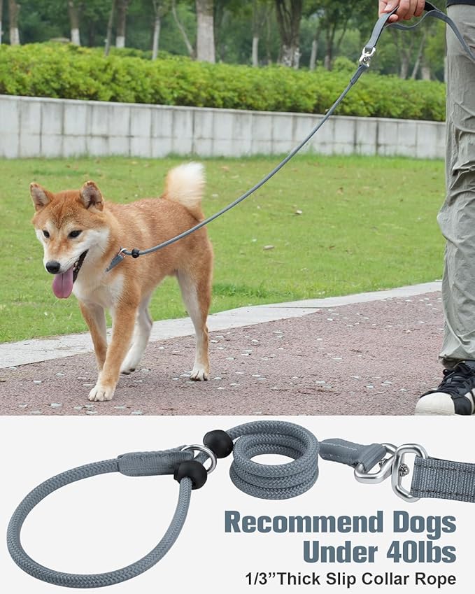 Aiyuda Tangle-Free Slip Lead for Dogs with Padded Traffic Handle 6ft Dog 40 LBS,