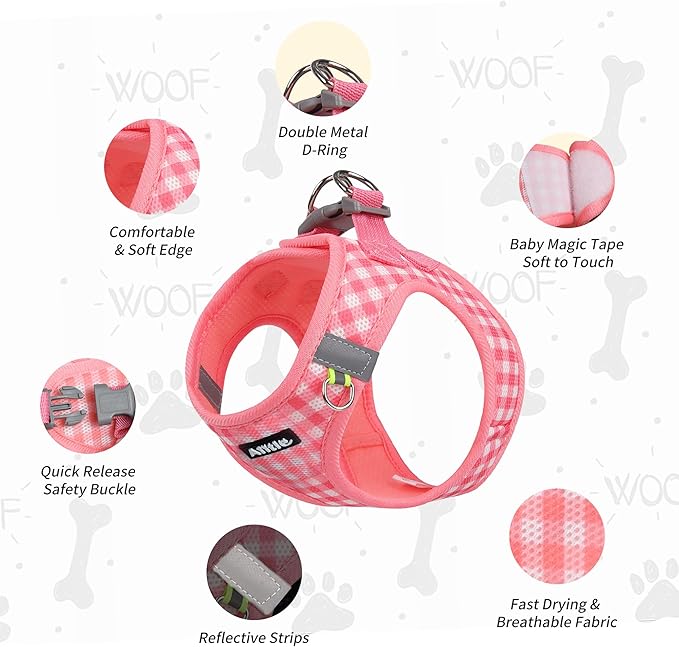 AIITLE Easy Walk Dog Vest Harness and Leash Set, Pet Supply No Pull, Summer Breathable Mesh, Reflective Stripes, Adjustable Escape Proof Pet Outdoor Harnesses for Medium Dogs Watermelon L