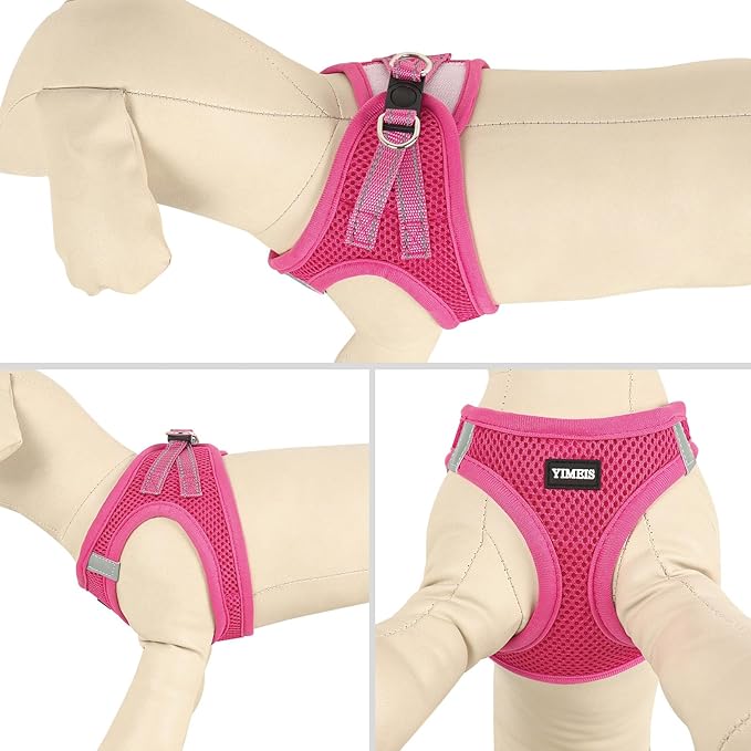 YIMEIS Dog Harness and Leash Set 1)