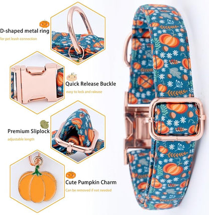 Faygarsle Bow Tie Dog Collar Halloween Fall