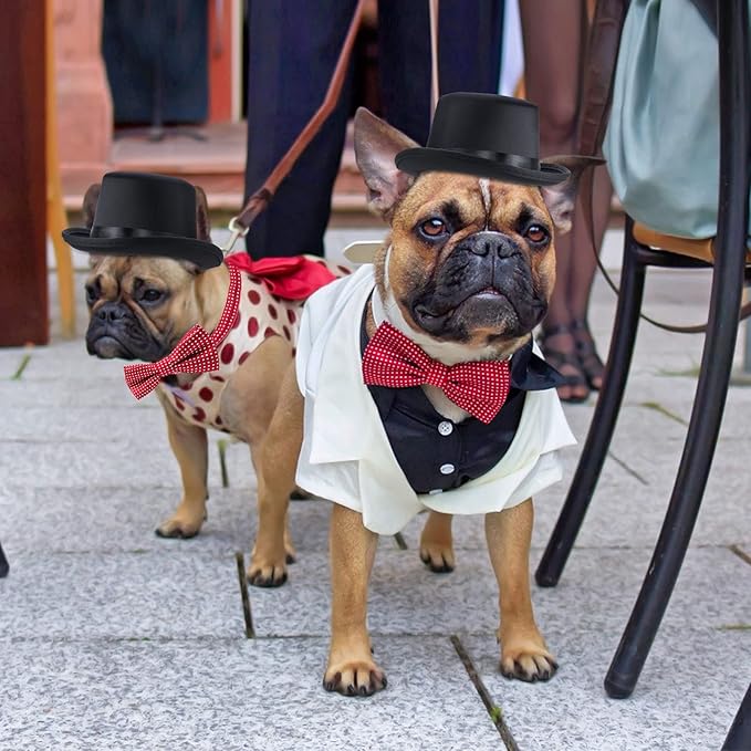 Yewong 2 Pieces Pet Formal Accessories Set - Pet Top Hat with Pet Formal Necktie/Bowtie Birthday Party Gradation Halloween Costumes Accessories for Dog Cat (Red-B) One Size