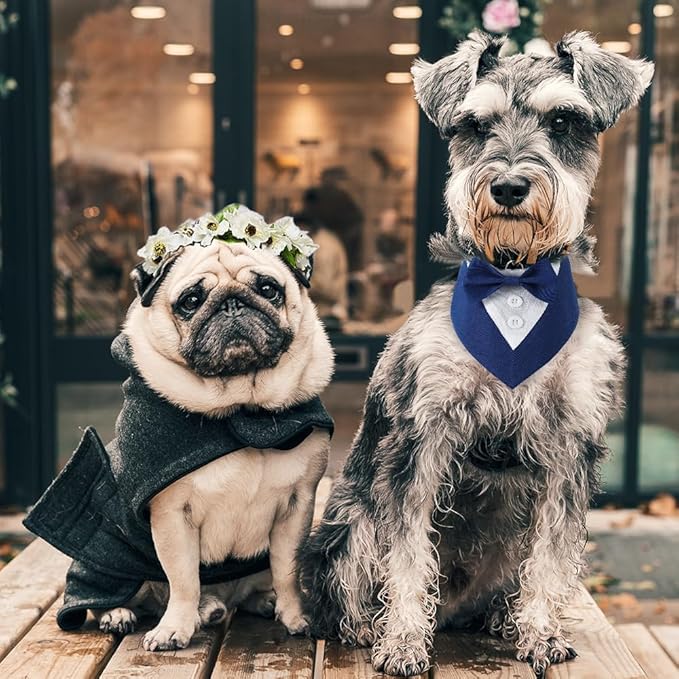 Dog Wedding Bandana, Formal Dog Tuxedo Adjustable Pet Collar with Bow, Small, Medium and Large Dog Wedding Clothing, Birthday Gifts for Dogs (Medium, Blue)