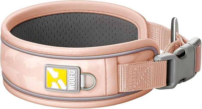 Premium Dog Collar