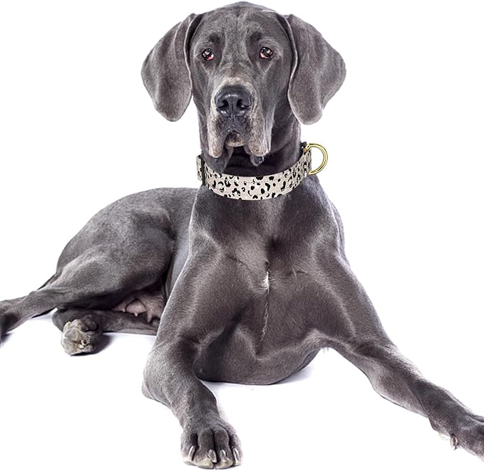 Reflective Dog Collar