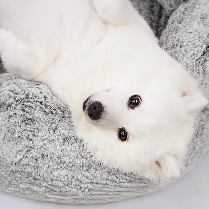 N&V Medium Orthopedic Donut Dog Bed