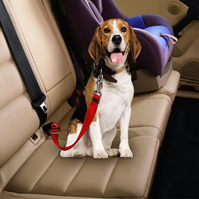 Dog Car Harness - Pack of 2 Dog Seatbelts for Cars, Trucks, Travel - Tether Belt for Small & Large Dogs - Black+Red