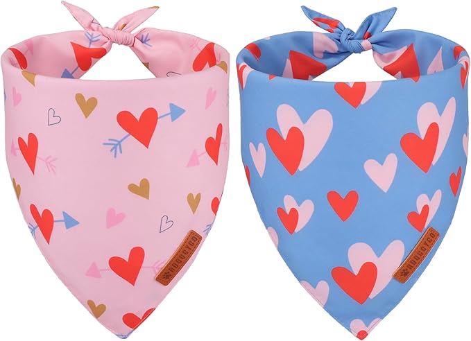 ADOGGYGO Valentine's Day Dog Bandana