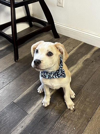 Elegant little tail Dog Collar with Bow
