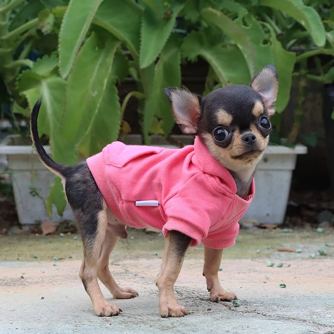 LOPHIPETS Lightweight Cotton Hoodie for Small Dogs – Hooded Sweatshirt for Chihuahuas Puppy and Toy Breeds-Pink/XS