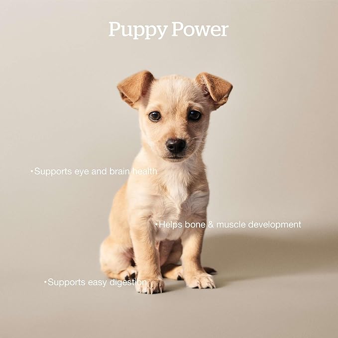 Now Fresh Grain-Free Dry Dog Food 3.5 lb