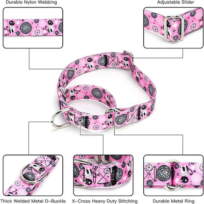 Martingale Dog Collars - Flower Multicolor Cute Patterns, Adjustable Nylon Training Dog Collar Suitable for Boy and Girl Dogs Medium Large Dogs (21, M)