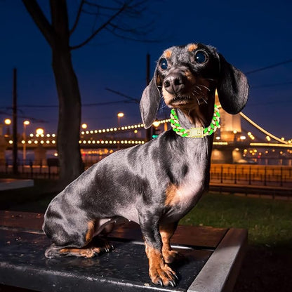 Dog Chain Cuban Collars 20in)