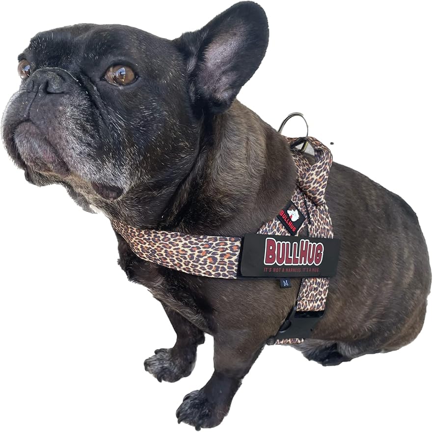 BULLHUG Harness – Made for Larger Chested Dogs Like English Bulldogs
