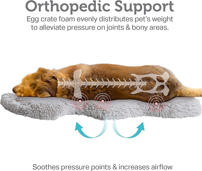 Friends Forever Faux Fur Pet Bed 40x30