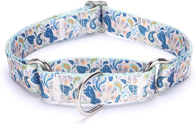 Martingale Dog Collars Blue3)