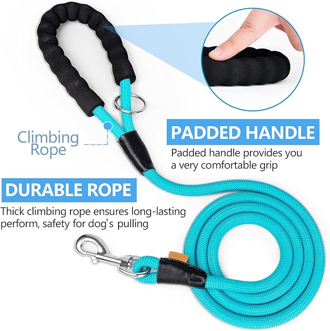 Dog Leash ((1/2") - 6FT, Light
