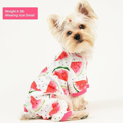 Soft Stretch Pet Clothes Dog Pajamas for Small Dogs Boy Girl Cute Puppy Clothes Dog Pjs Summer Dog Jammies Onesies Dog Outfits for Chihuahua Yorkie Teacup Cat Apparel Clothing (Small, Watermelon)