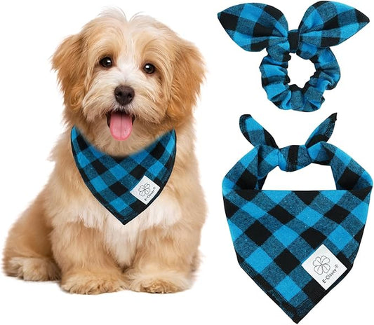 E-Clover Dog Bandanas & Matching Scrunchie Boy Dog