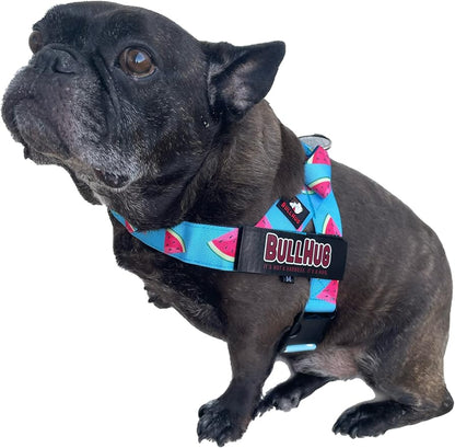 BULLHUG Harness – Made for Larger Chested Dogs Like English Bulldogs