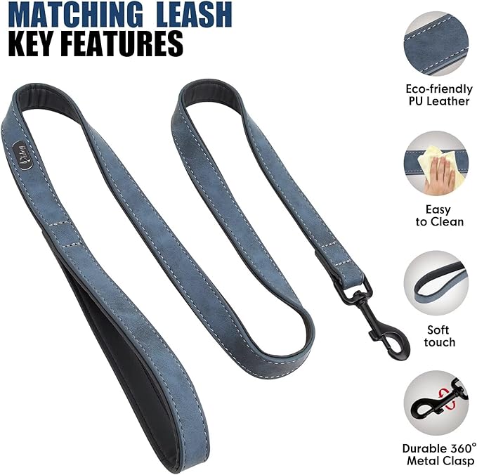 Didog Soft Padded Leather Dog Collar and Leash Set 4FT Leather