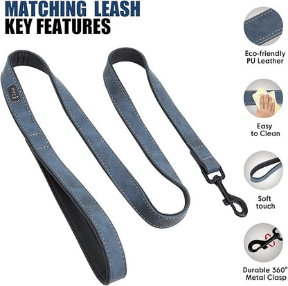 Didog Soft Padded Leather Dog Collar and Leash Set 4FT Leather