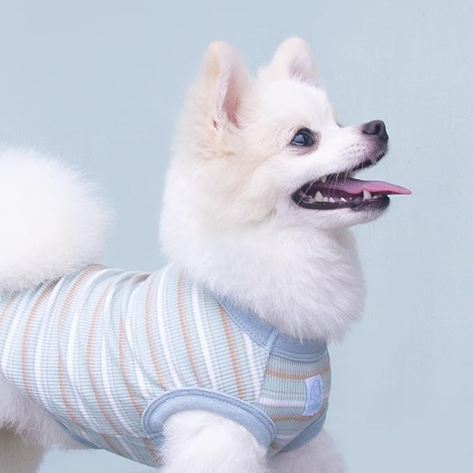 Striped Teacup Pet Dog T-Shirts 100% Cotton