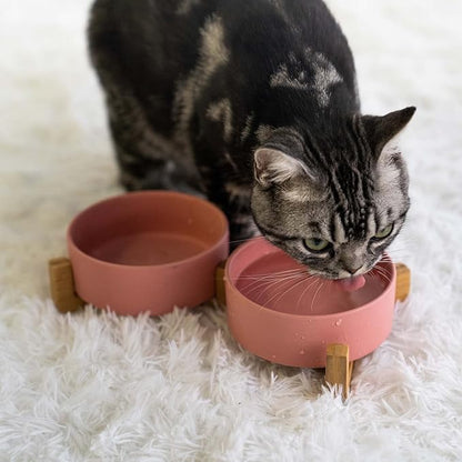 SPUNKYJUNKY Ceramic Dog and Cat Bowl with Wood Stand Non-Slip Matte Glaze Weighted Food Water Set for Cats &Small Dogs 13.5 OZ