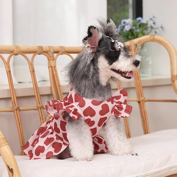 CuteBone Dog Dress Princess Puppy Birthday Dresses FX01L