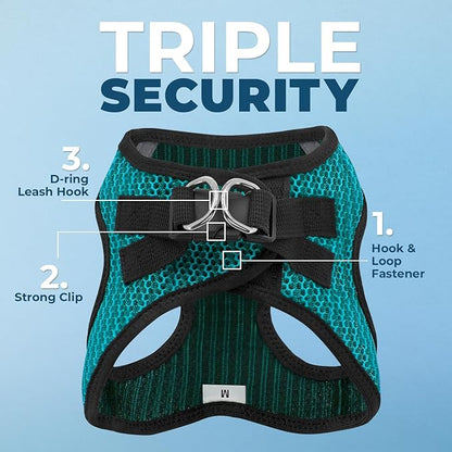 Voyager Step-in Air Dog Harness - All Weather Mesh Step in Vest Harness for Small and Medium Dogs and Cats by Best Pet Supplies - Harness (Turquoise 2-Tone), S (Chest: 14.5-16")