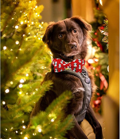 Lionheart glory Christmas Dog Collar, Red Dog Bow Collar Penguin Adjustable Soft and Comfortable Bowtie Collars for Small Dogs Girl or Boy Pet Gift Fall Collar Dog Bow
