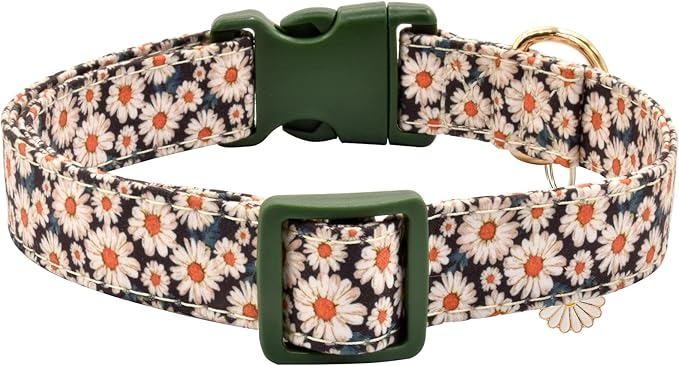 Flower Patterns Dog Collar with Accessories