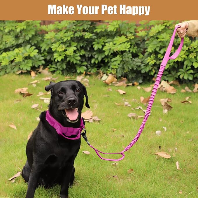 Tactical Dog Collar Leash Set