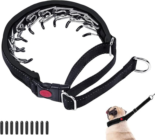 Martingale Collar for Dogs